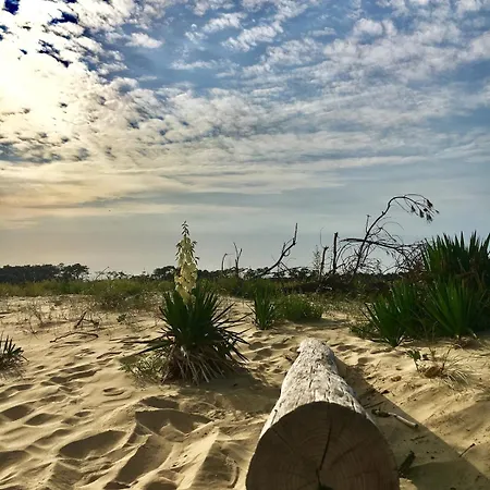 Oleron *